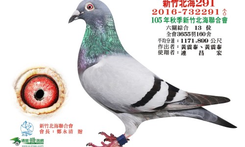婴儿松花粉的功效和作用是什么-婴儿用的松花粉的功效与作用、松花粉和矾的区别 -婴儿矾粉松花粉网