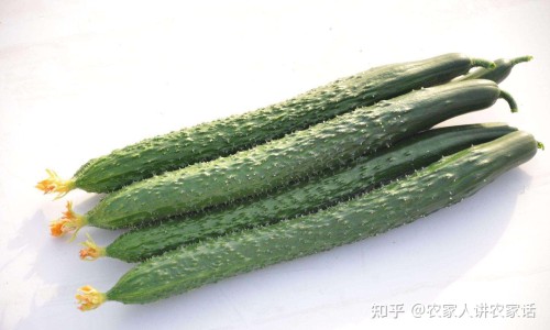 松花粉和矾的能混合吗-婴儿用的松花粉的功效与作用、松花粉和矾的区别 -婴儿矾粉松花粉网