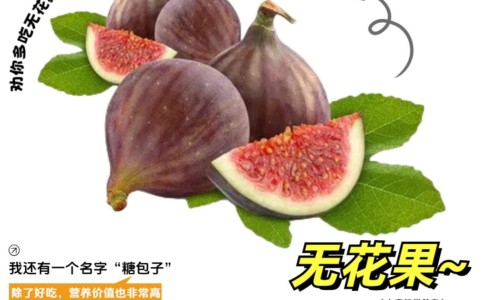 松花粉和矾的能混合吗-婴儿用的松花粉的功效与作用、松花粉和矾的区别 -婴儿矾粉松花粉网